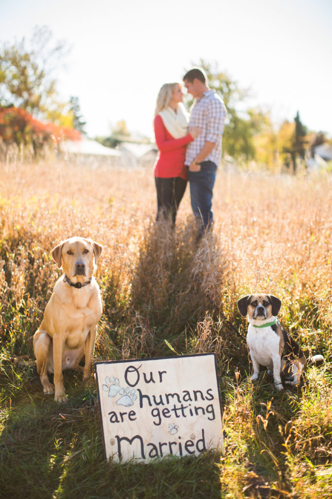 96_engagement_photos_minnesota_wedding_photographer_mn (1)